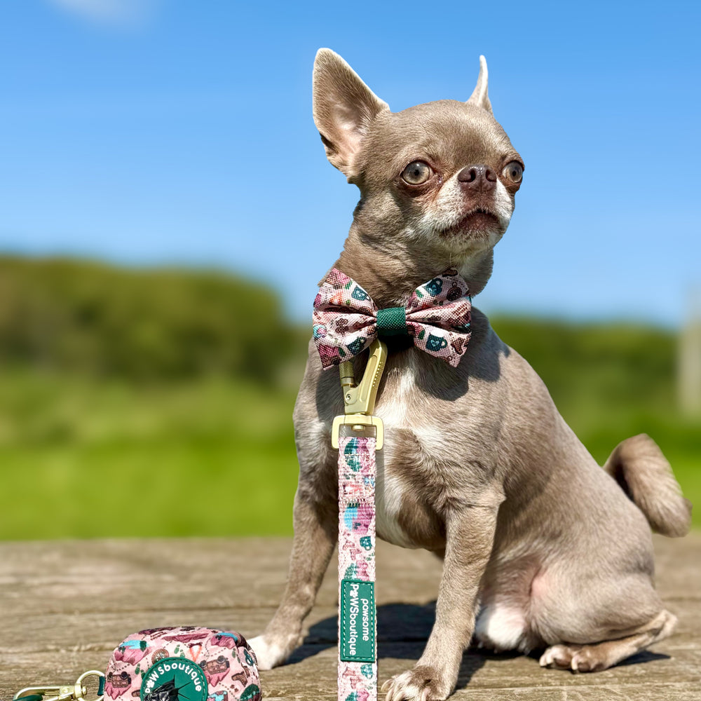 Bow Tie - Adventure Awaits