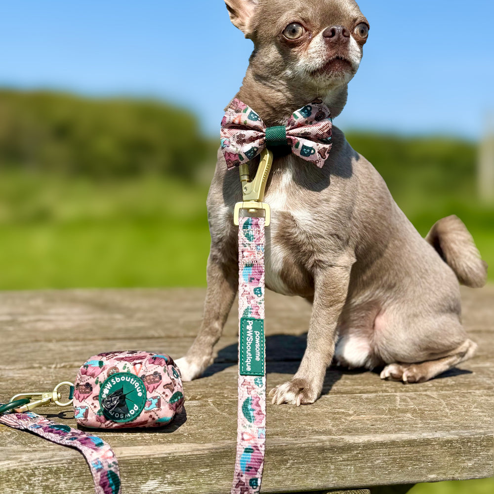 Poo Bag Holder - Adventure Awaits