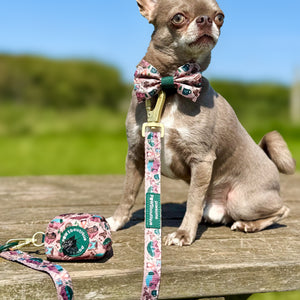 Poo Bag Holder - Adventure Awaits