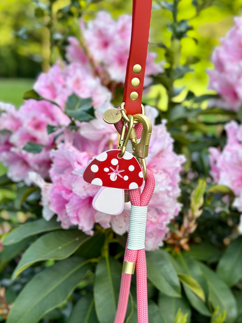 4ft Rope Lead - Red + Pink