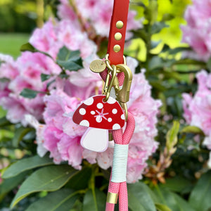 4ft Rope Lead - Red + Pink