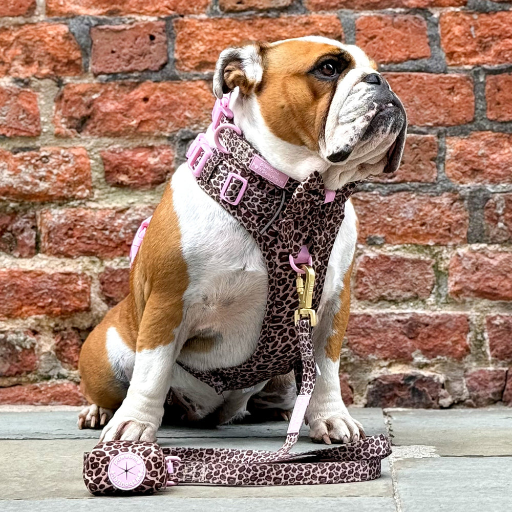 Poo Bag Holder - Leopard Print