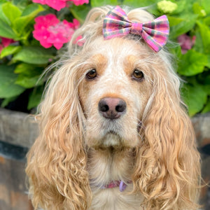 Bow Tie - Tweed Sunset