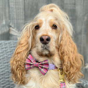 Bow Tie - Tweed Sunset