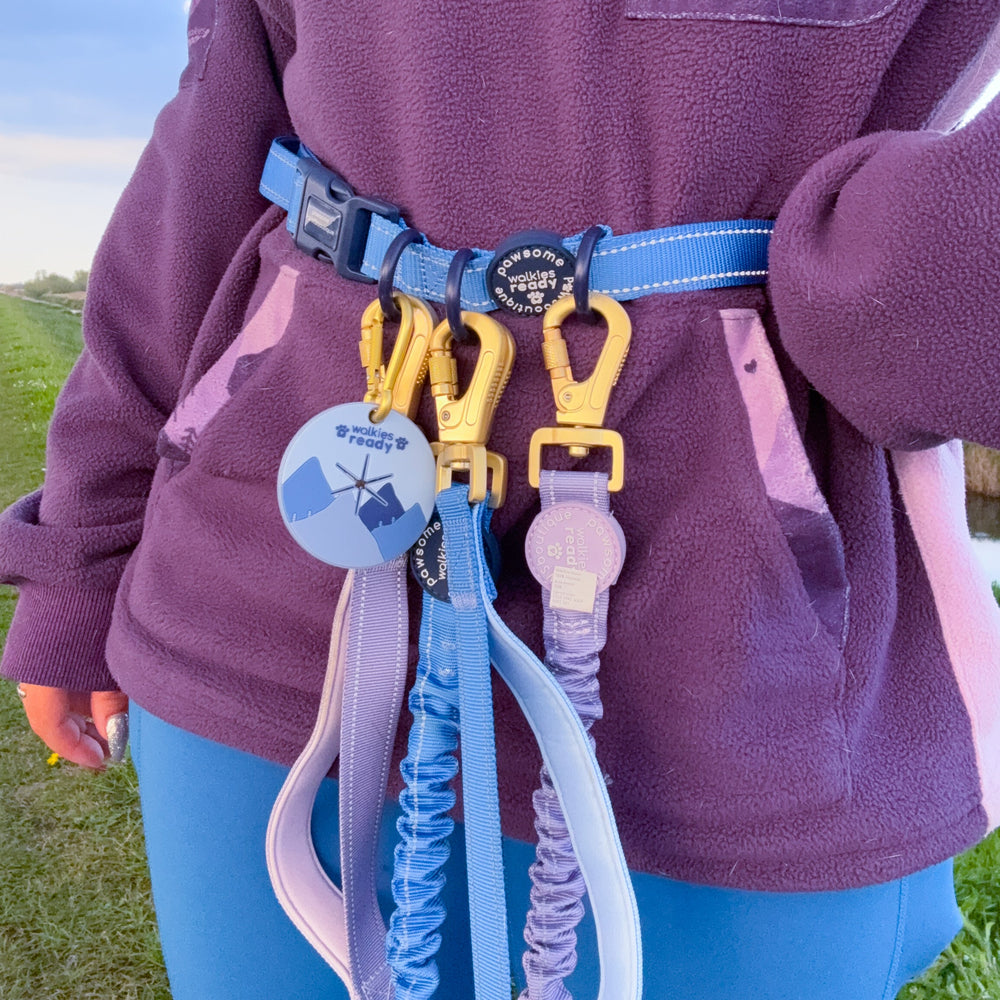 Handsfree Lead - Walkies Ready® Cornflower Blue