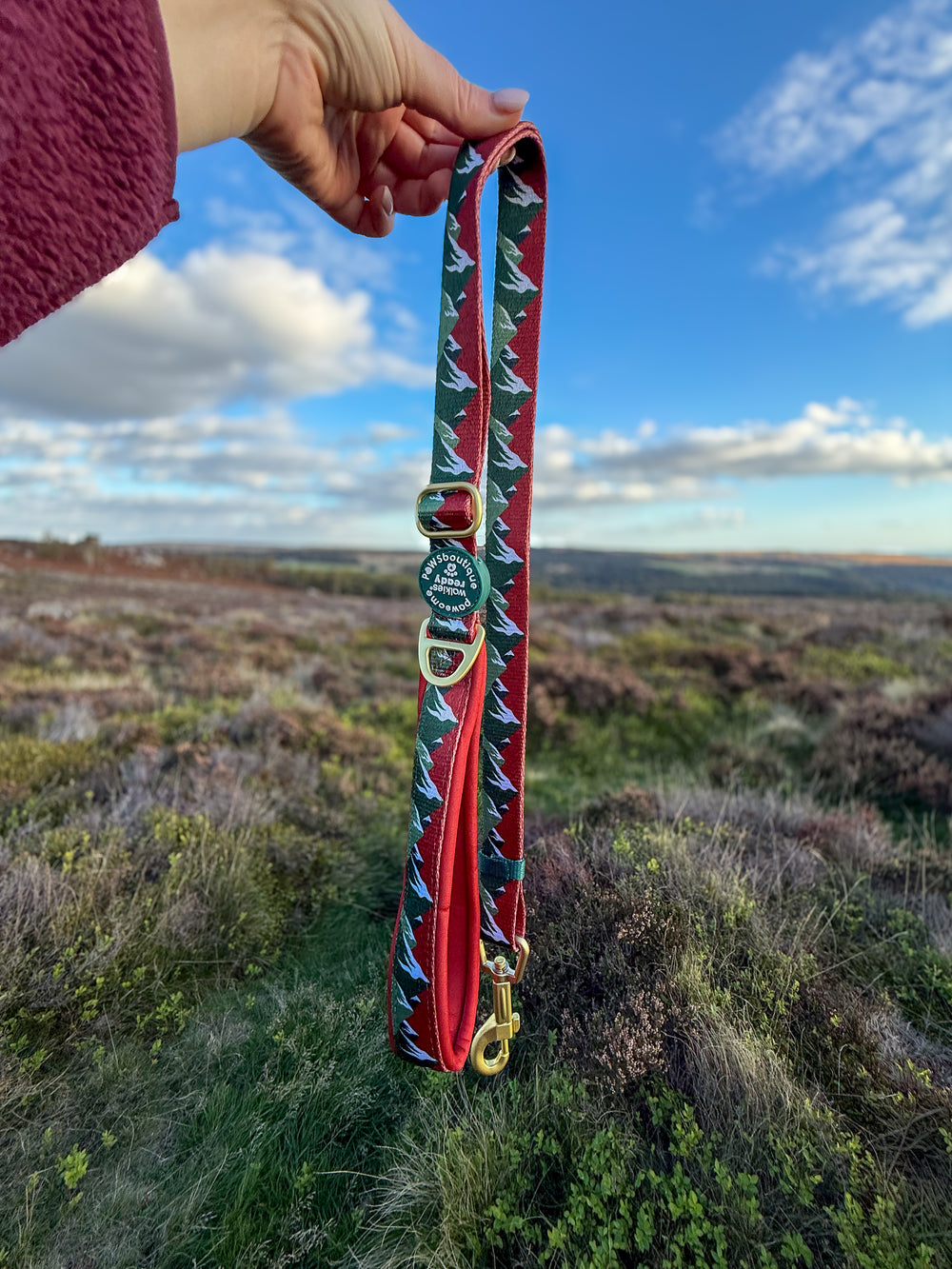 AdjustFit Lead - Walkies Ready® Snowy Mountains