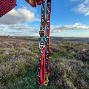 AdjustFit Lead - Walkies Ready® Snowy Mountains