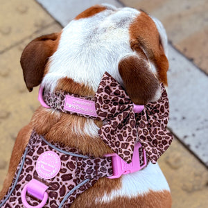 Sailor Bow - Leopard Print