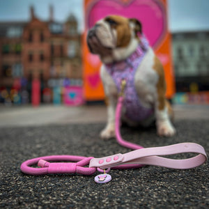 Disney© 4ft Rope Lead - Piglet - Pink