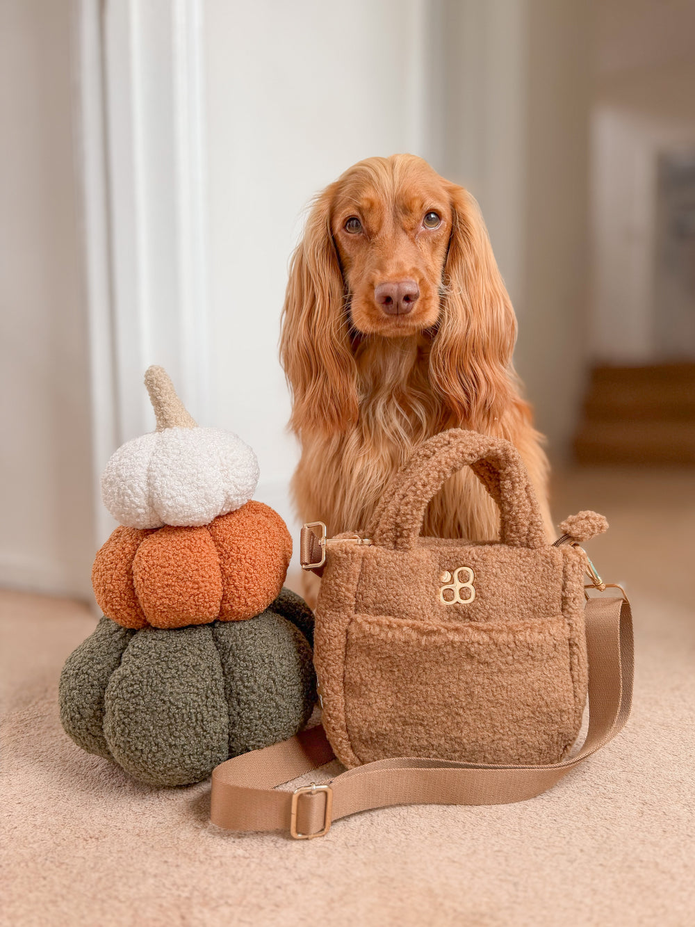 Teddy Crossbody Bag