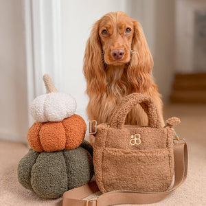 Teddy Crossbody Bag