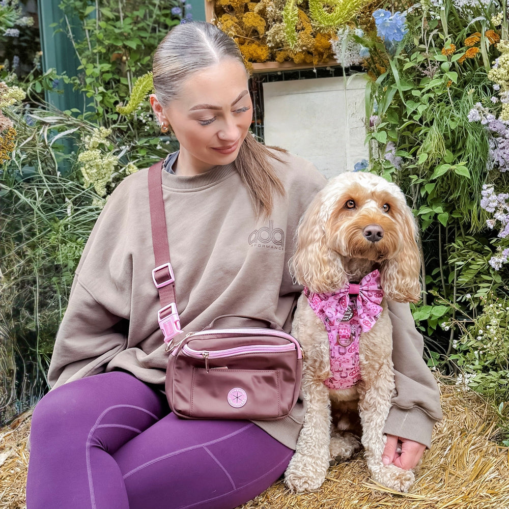 All In One Bumbag - Brown + Pink