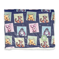 Disney© Dog Blanket - Winnie + Friends (New)