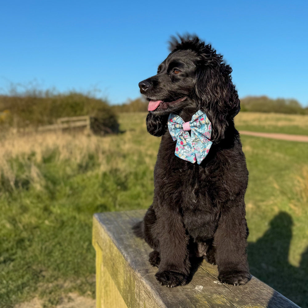 Sailor Bow - Whimsical Wildflowers