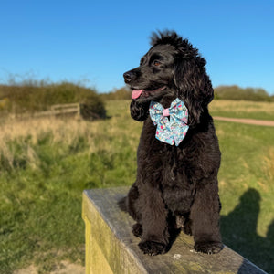 Sailor Bow - Whimsical Wildflowers