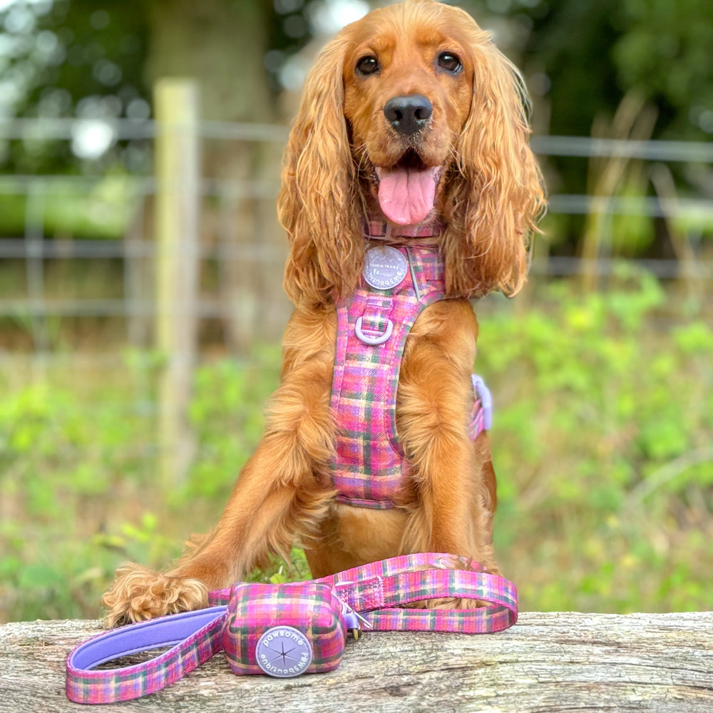 Poo Bag Holder - Tweed Sunset