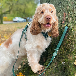 4ft Waterproof Lead - Walkies Ready® Forest Green