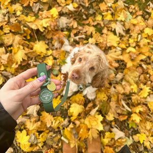 4ft Waterproof Lead - Walkies Ready® Forest Green