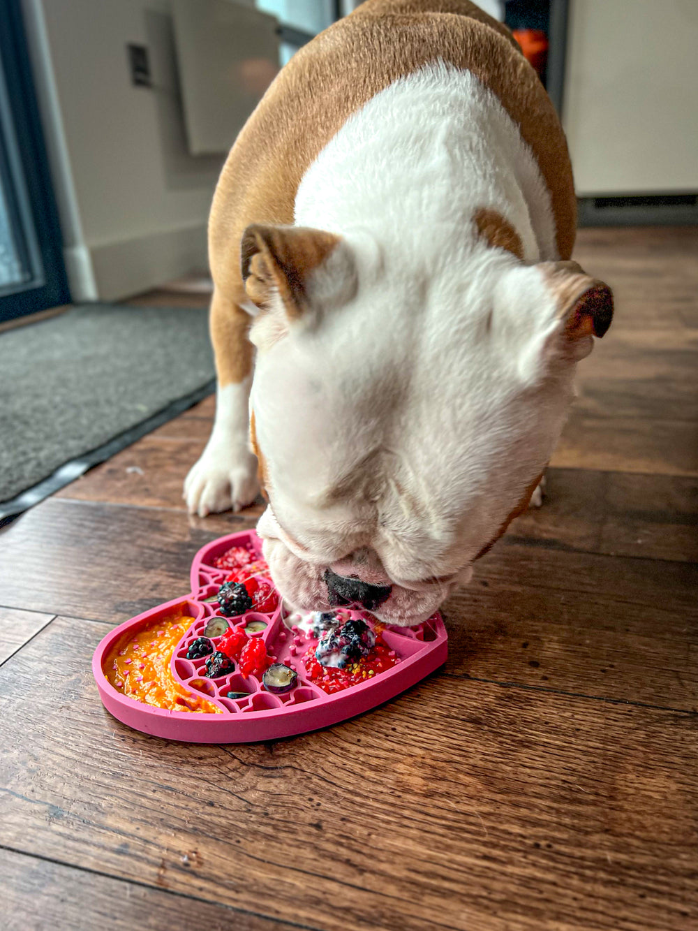 Lick Mat - Raspberry Pink