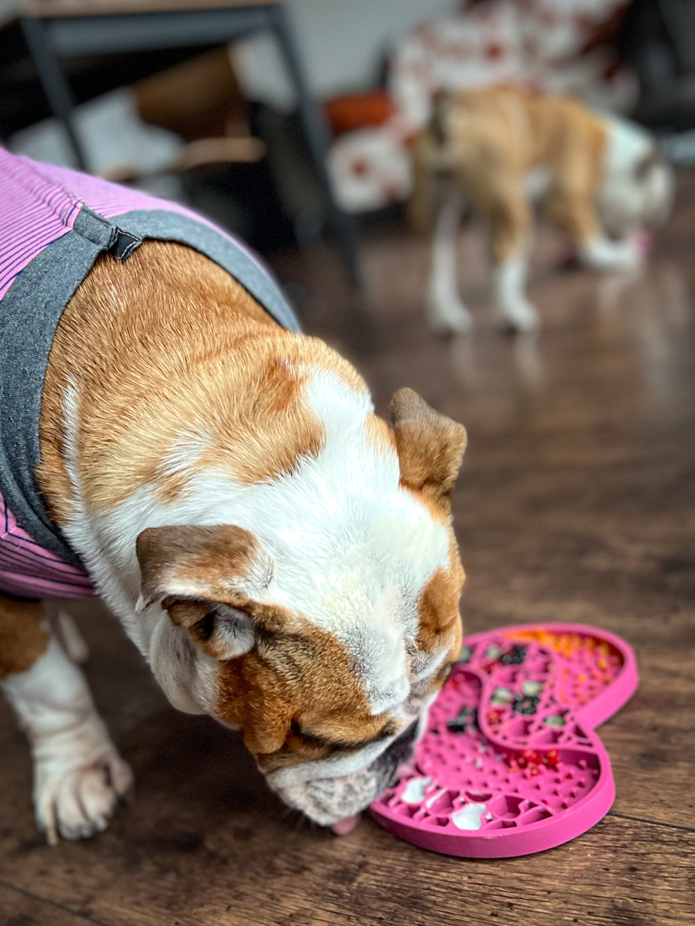 Lick Mat - Raspberry Pink