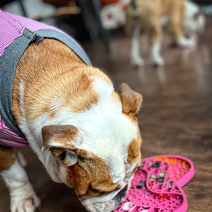 Lick Mat - Raspberry Pink