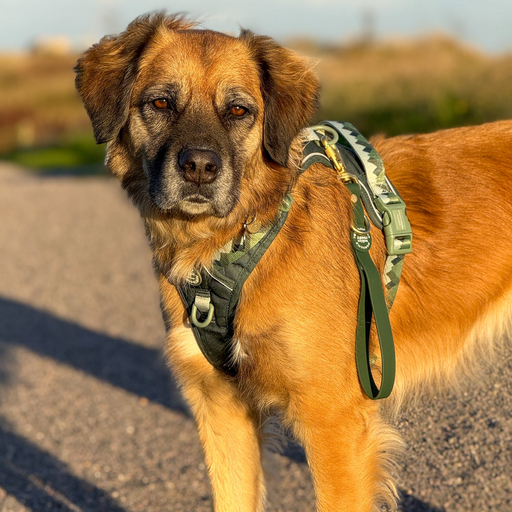 Traffic Handle - Walkies Ready® Forest Green