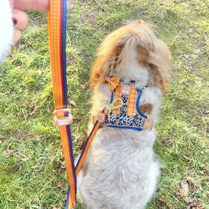 Disney© Lead - Woody