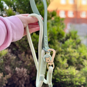 Disney© 4ft Rope Lead - 100 Aker Wood - Light and Dark Green