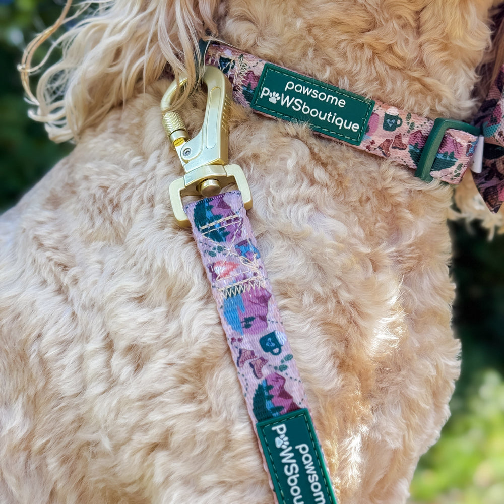 Lead - Adventure Awaits