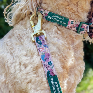 Lead - Adventure Awaits