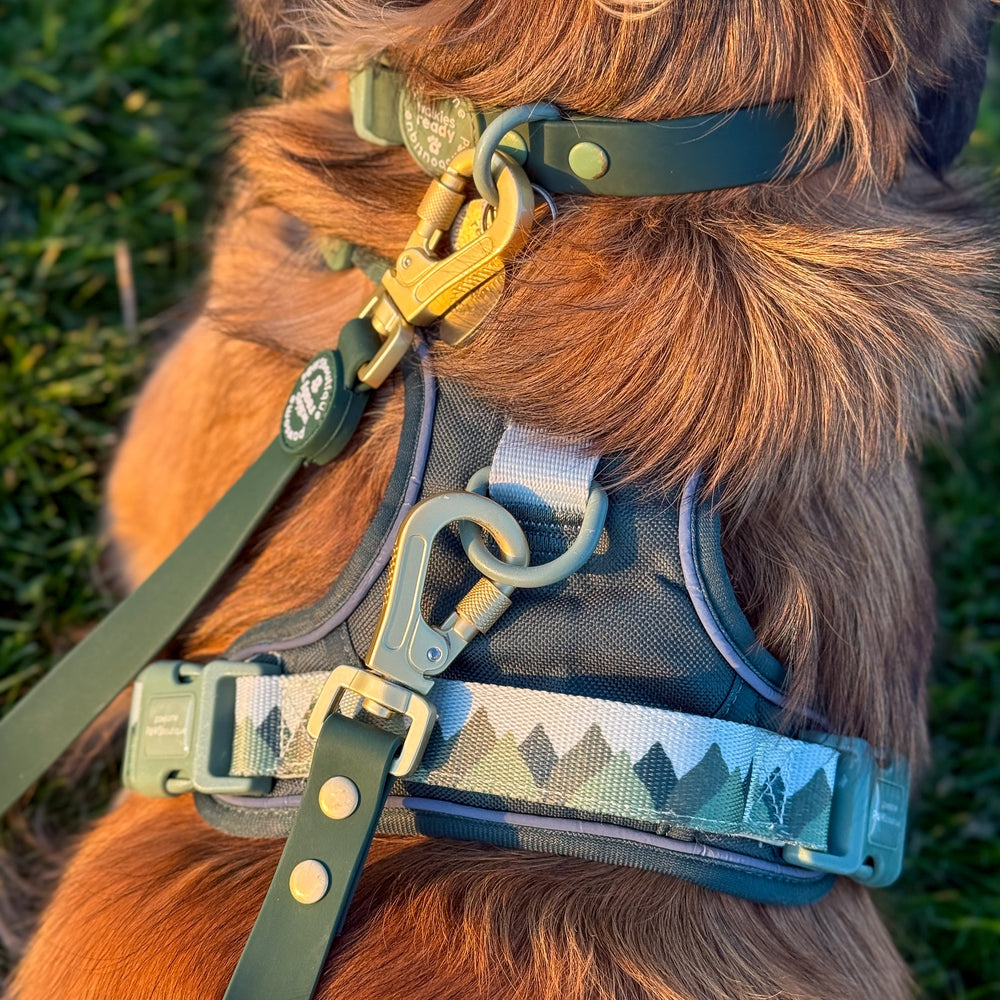 Double Ended Lead - Walkies Ready® Forest Green