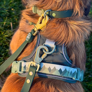Double Ended Lead - Walkies Ready® Forest Green