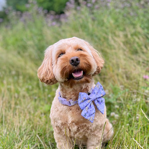 Disney© Sailor Bow Tie - Bambi + Friends Lilac