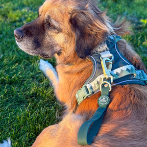 Traffic Handle - Walkies Ready® Forest Green