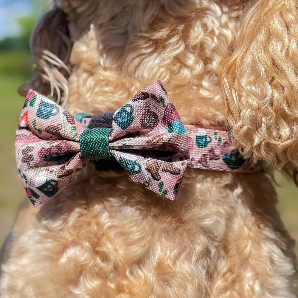 Bow Tie - Adventure Awaits