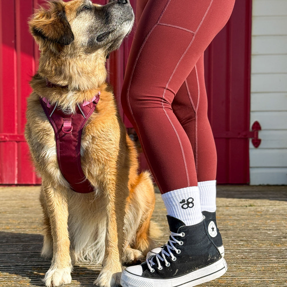 Socks -  Walkies Ready®