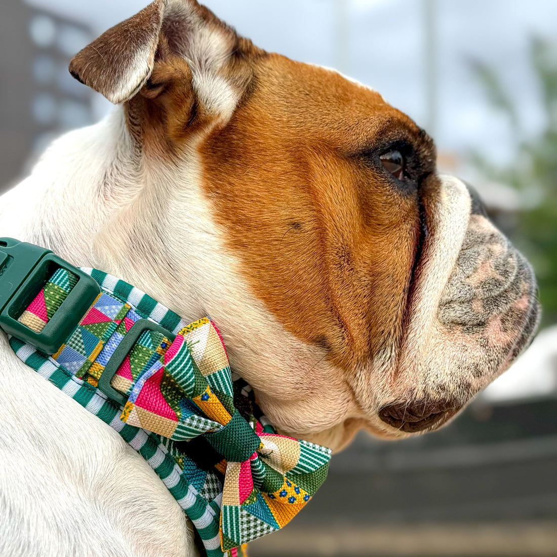 Bow Tie - Patchwork