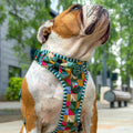 Bow Tie - Patchwork
