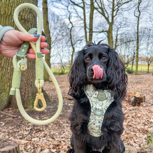 Disney© 4ft Rope Lead - 100 Aker Wood - Light and Dark Green