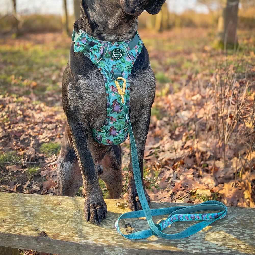 Disney© Disney©Lead - Jungle Book