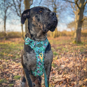 Disney© Bow Tie - Jungle Book