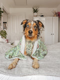 Disney© Dog Blanket - 100 Aker Wood