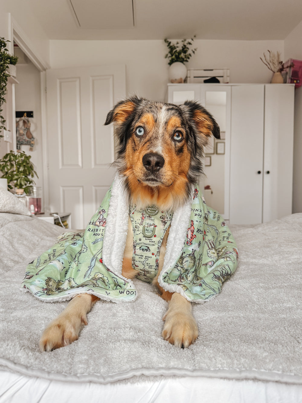 Disney© Dog Blanket - 100 Aker Wood