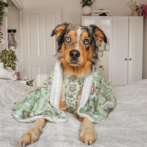 Disney© Dog Blanket - 100 Aker Wood