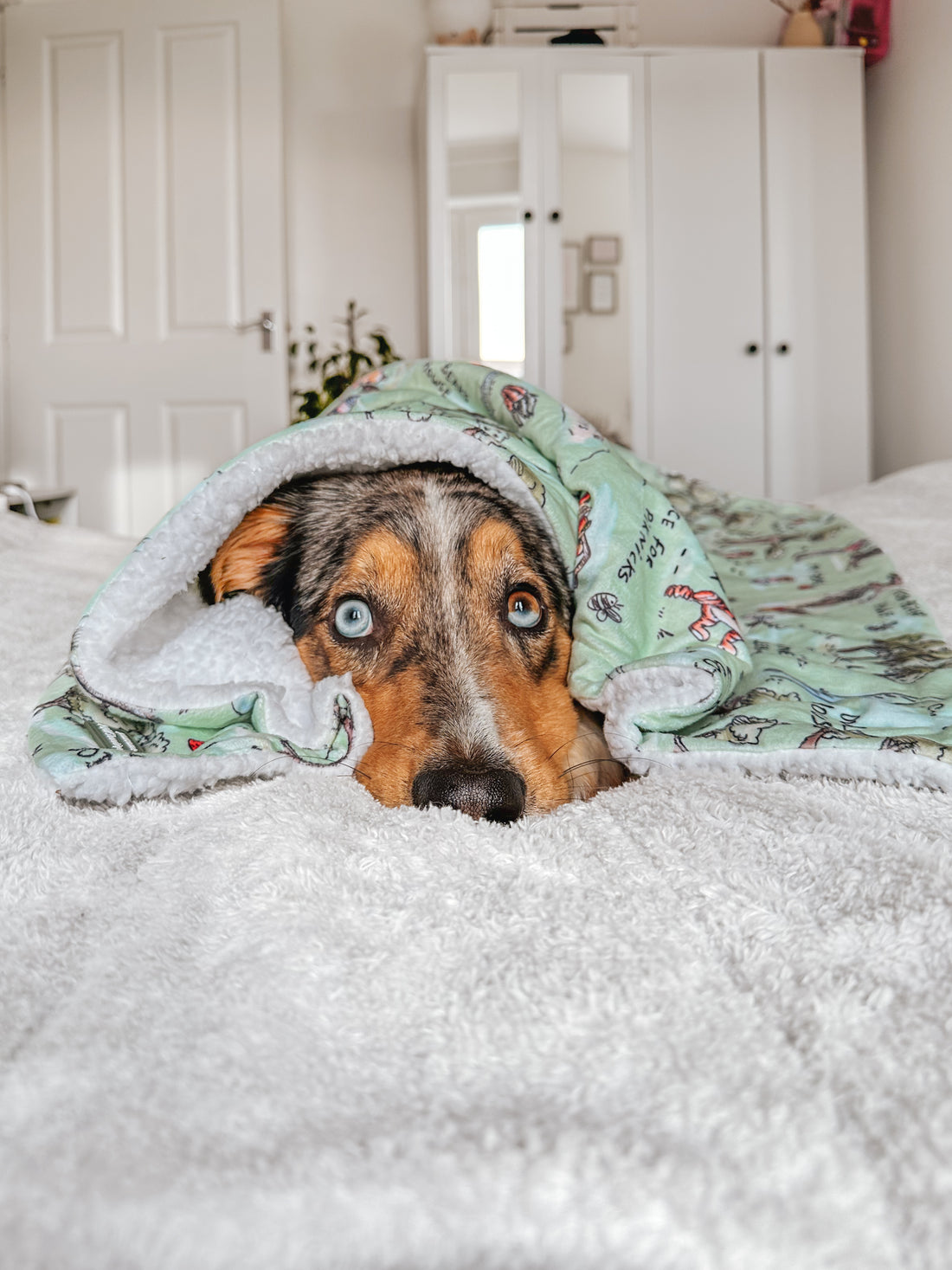 Disney© Dog Blanket - 100 Aker Wood