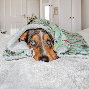 Disney© Dog Blanket - 100 Aker Wood