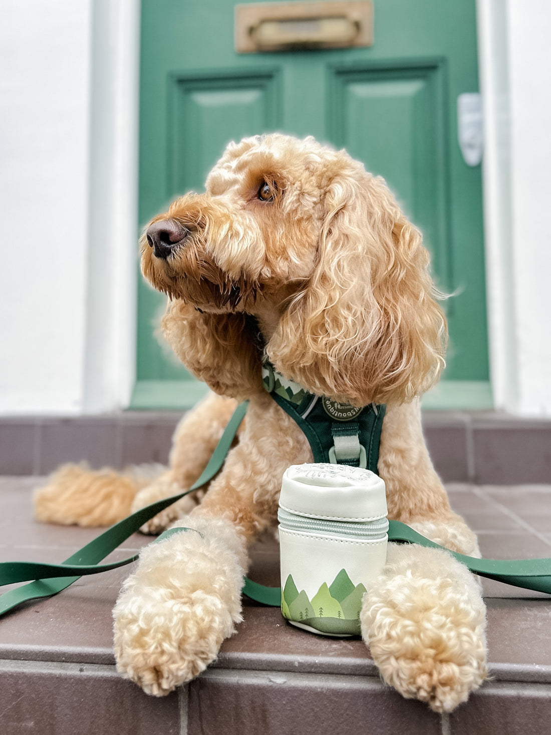 Treat Pouch - Walkies Ready® Forest Green