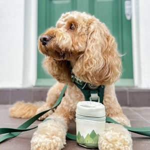 Treat Pouch - Walkies Ready® Forest Green