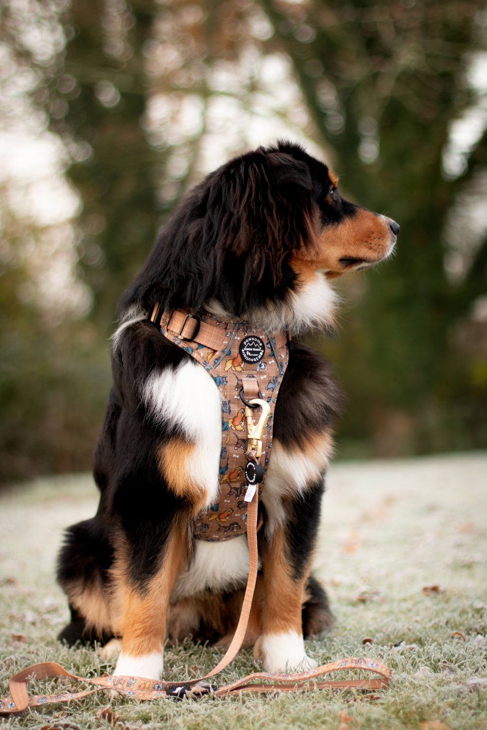 Disney© Lead - Disney Dogs