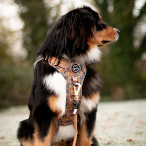 Disney© Lead - Disney Dogs